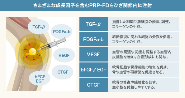 PRP-FD注射に含まれる成長因子とその働き